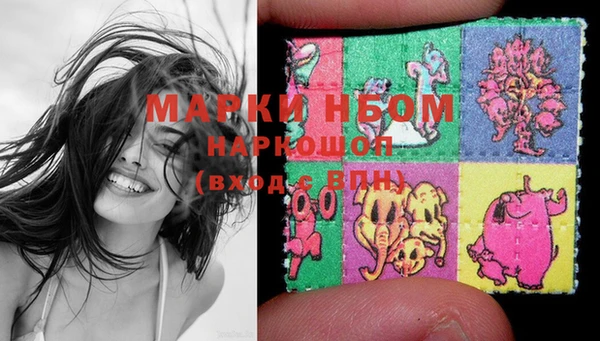 ECSTASY Кукмор