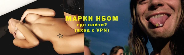 ECSTASY Кукмор