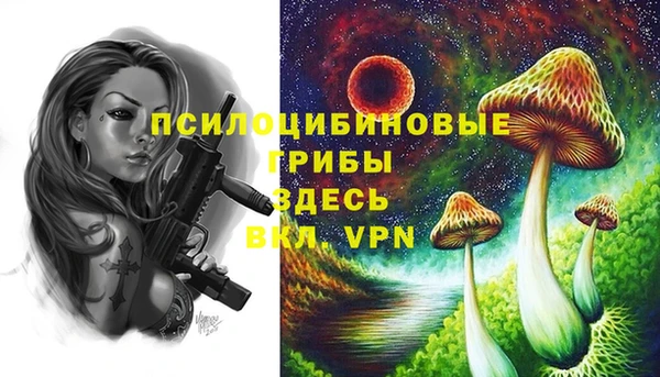 синтетический гашиш Кулебаки