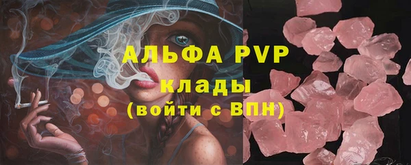 ECSTASY Кукмор